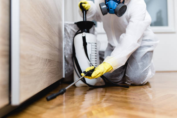 Best Ant Control Services  in Bloomfield, NY