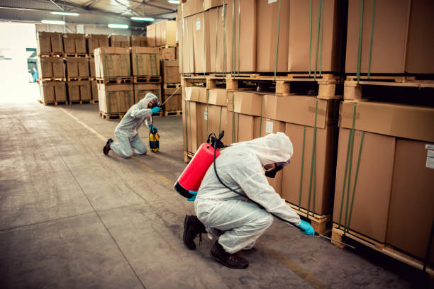 Best Wasp Removal Services  in Bloomfield, NY