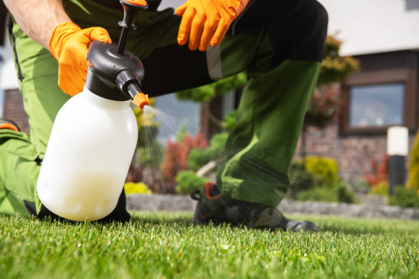 Best Pest Removal Services  in Bloomfield, NY