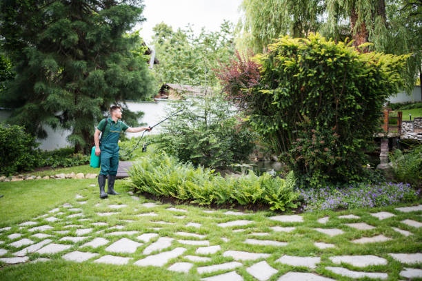 Best Affordable Pest Control Services  in Bloomfield, NY
