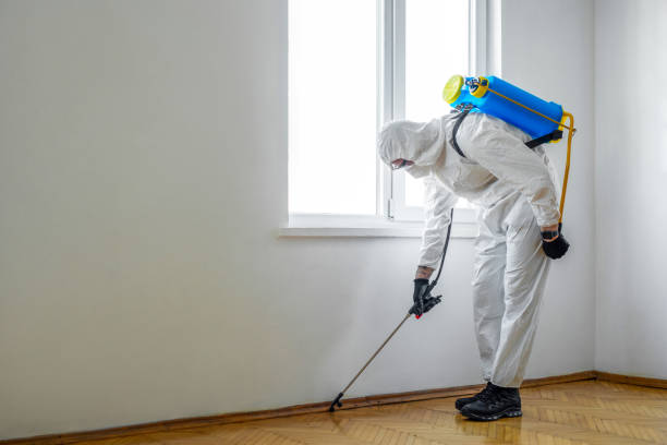 Best Best Pest Control Companies  in Bloomfield, NY
