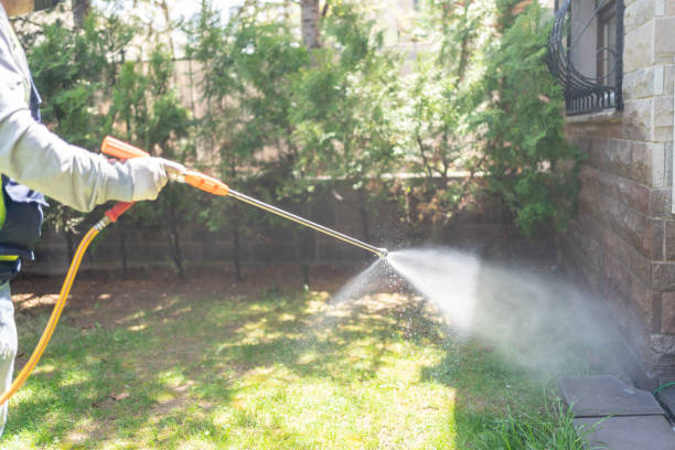 Best Pest Control Near Me  in Bloomfield, NY