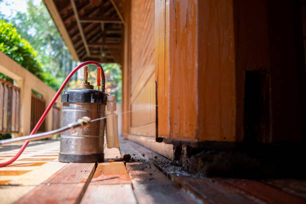 Best Termite Control Services  in Bloomfield, NY