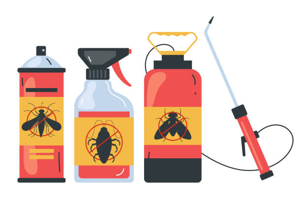 Best Spider Control Near Me  in Bloomfield, NY
